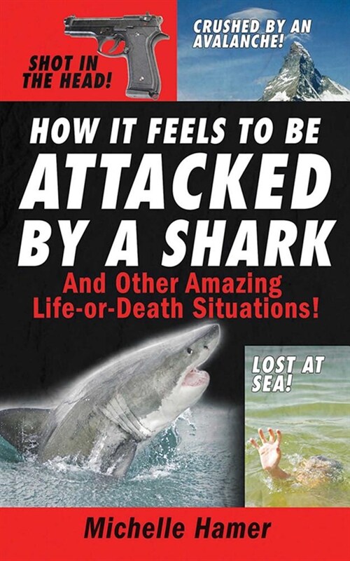 How It Feels to Be Attcked by a Shark (Paperback)