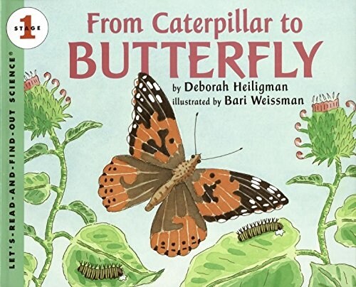 From Caterpillar to Butterfly (Paperback, BIG, Reprint)