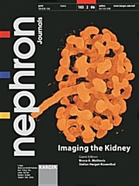 Imaging the Kidney (Paperback)