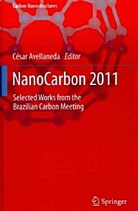 Nanocarbon 2011: Selected Works from the Brazilian Carbon Meeting (Hardcover, 2013)