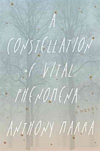 A Constellation of Vital Phenomena (Hardcover, Deckle Edge)