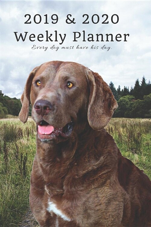 2019 & 2020 Weekly Planner Every Dog Must Have His Day.: Chesapeake Bay Retriever in Nature: Two Year Agenda Datebook: Plan Lab Notes, Goals to Gain & (Paperback)