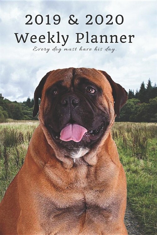 2019 & 2020 Weekly Planner Every Dog Must Have His Day.: Bullmastiff Nature: Two Year Agenda Datebook: Plan Goals to Gain & Work to Maintain Daily & M (Paperback)