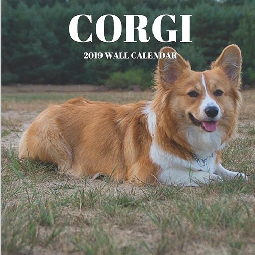 Corgi 2019 Wall Calendar: Mini Wall Calendar Dog Photography 12 Month Calendar Planner (Paperback)