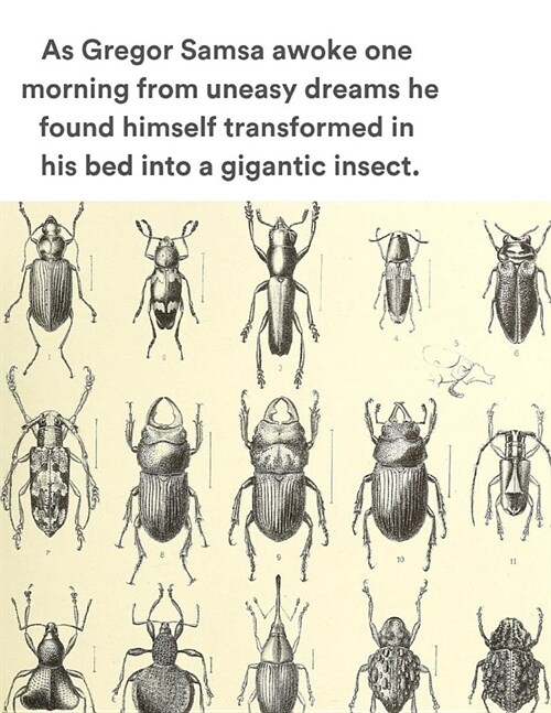 As Gregor Samsa Awoke One Morning from Uneasy Dreams He Found Himself Transformed in His Bed Into a Gigantic Insect.: The Metamorphosis Scrapbook and (Paperback)