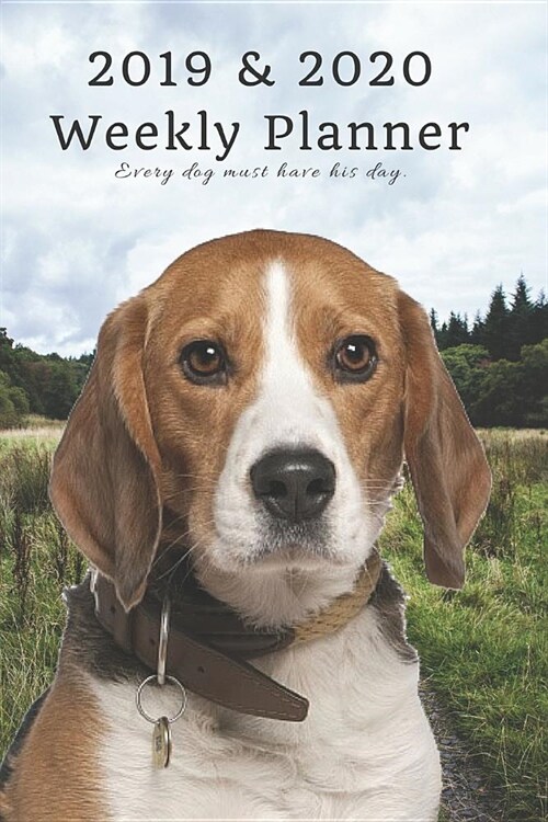 2019 & 2020 Weekly Planner Every Dog Must Have His Day.: Cute English Beagle Hound in Nature: Two Year Agenda Datebook: Plan Goals to Gain & Work to M (Paperback)