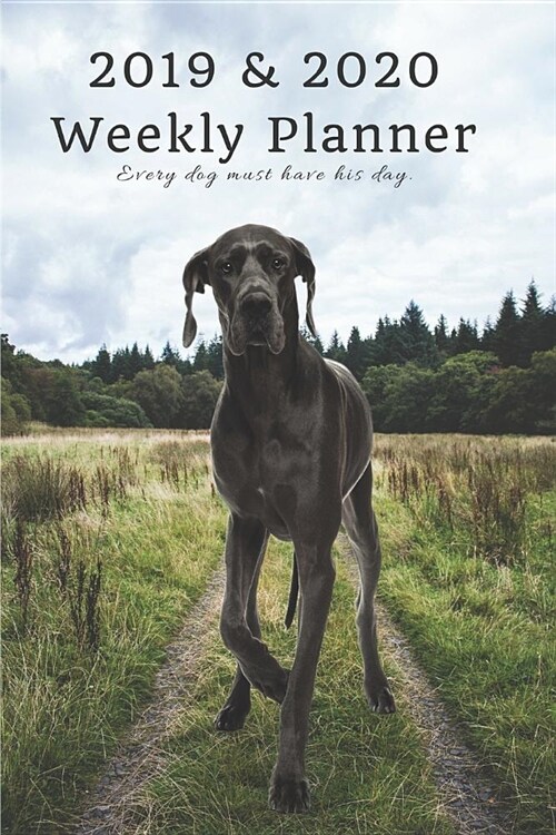2019 & 2020 Weekly Planner Every Dog Must Have His Day.: Great Dane in Nature: Two Year Agenda Datebook: Plan Goals to Gain & Work to Maintain Daily & (Paperback)