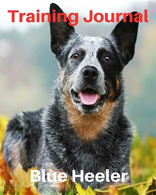 Training Journal Blue Heeler: Record Your Dogs Training and Growth (Paperback)