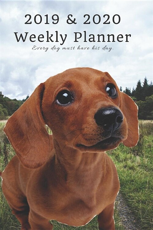 2019 & 2020 Weekly Planner Every Dog Must Have His Day.: Cute Dachshund Sausage in Nature: Two Year Agenda Datebook: Plan Goals to Gain & Work to Main (Paperback)