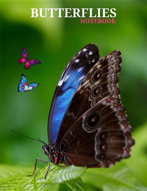 Butterflies Notebook (Journal, Diary): Butterfly Ruled Lined 120 Pages Writing Book for Children, Men, Women, Boys and Girls with Natural Colorful Loo (Paperback)