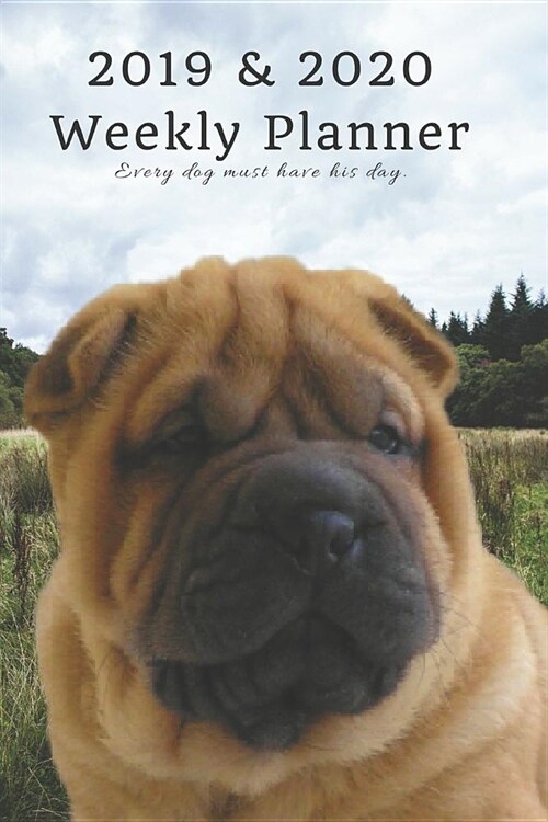 2019 & 2020 Weekly Planner Every Dog Must Have His Day.: Cute Shar Pei Puppy in Nature: Two Year Agenda Datebook: Plan Goals to Gain & Work to Maintai (Paperback)