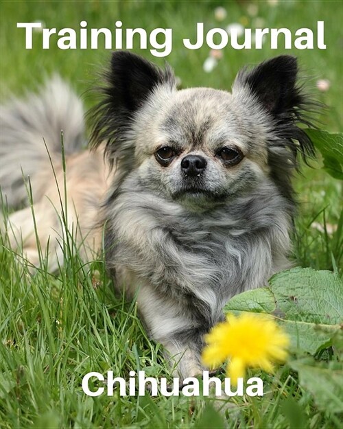 Training Journal Chihuahua: Record Your Dogs Training and Growth (Paperback)