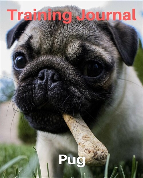 Training Journal Pug: Record Your Dogs Training and Growth (Paperback)