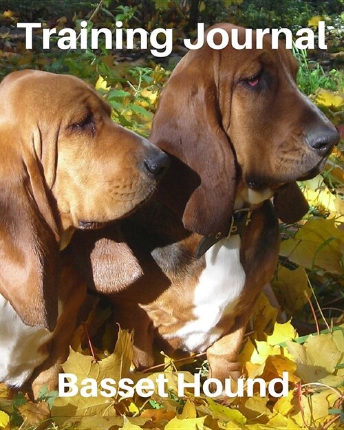 Training Journal Basset Hound: Record Your Dogs Training and Growth (Paperback)