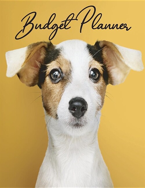 Budget Planner: Finance Monthly, Daily Budget Planner Expense Tracker Bill Organizer Journal (Volume 5) (Paperback)