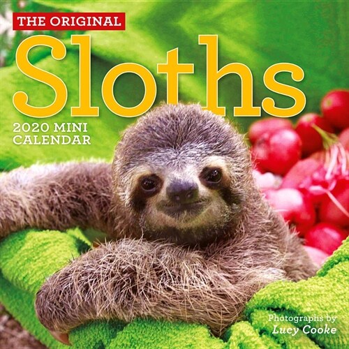 Original Sloths Mini Wall Calendar 2020 (Mini)