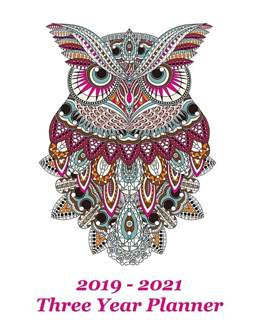 2019 - 2021 Three Year Planner: Decorative Owl Cover - Includes Major U.S. Holidays and Sporting Events (Paperback)