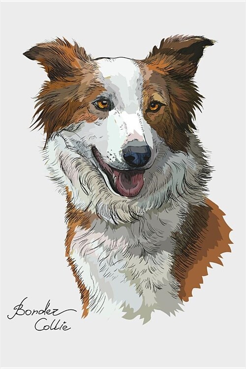 Border Collie Notebook: Blank Lined Journal, Softcover (6x9 Inches) with 100 Pages (Paperback)
