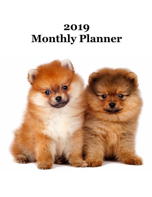 2019 Monthly Planner: Pomeranian Puppies Cover - Includes Major U.S. Holidays and Sporting Events (Paperback)