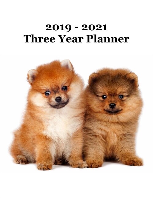 2019 - 2021 Three Year Planner: Pomeranian Puppies Cover - Includes Major U.S. Holidays and Sporting Events (Paperback)