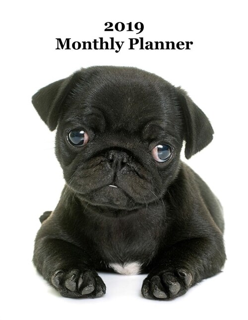 2019 Monthly Planner: Adorable Pug Puppy Cover - Includes Major U.S. Holidays and Sporting Events (Paperback)