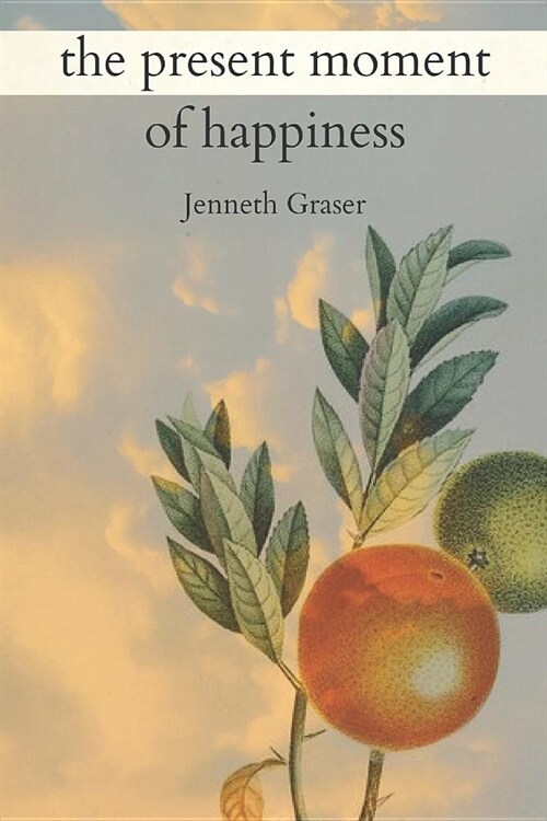 The Present Moment of Happiness (Paperback)