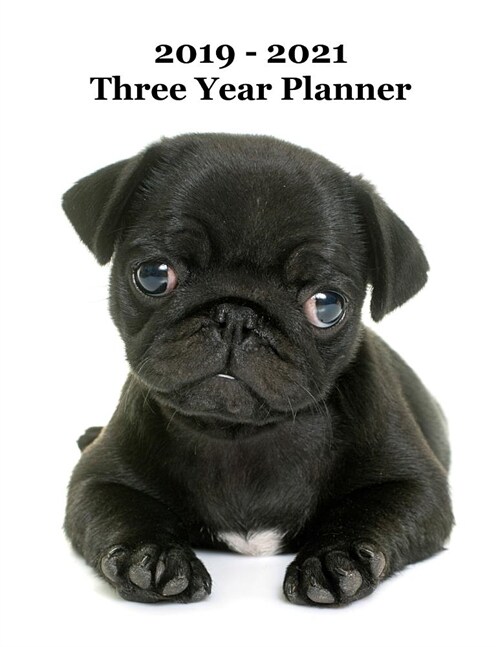 2019 - 2021 Three Year Planner: Adorable Pug Puppy Cover - Includes Major U.S. Holidays and Sporting Events (Paperback)