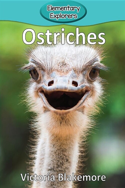 Ostriches (Paperback)