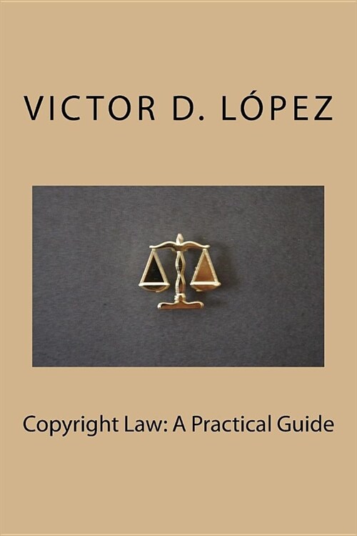 Copyright Law: A Practical Guide (Paperback)