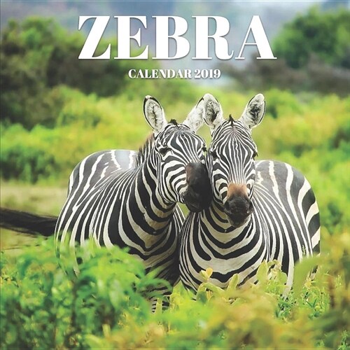 Zebra Calendar 2019: Mini Wall Calendar Animal Photography 12 Month Calendar Planner (Paperback)