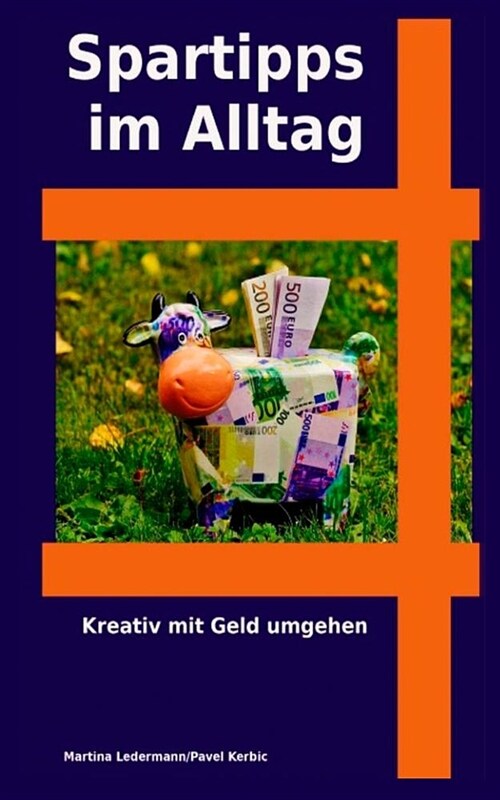 Spartipps Im Alltag: Kreativ Mit Geld Umgehen (Paperback)