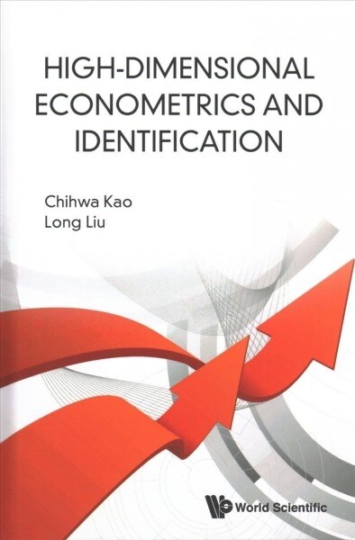 High-Dimensional Econometrics and Identification (Hardcover)