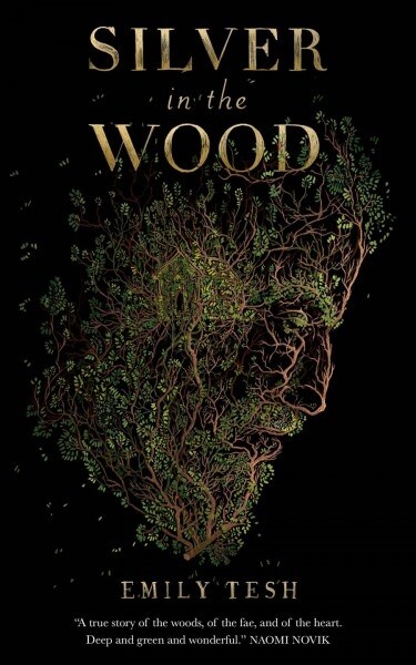 Silver in the Wood (Paperback)