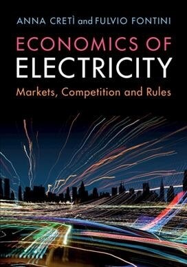 Economics of Electricity : Markets, Competition and Rules (Paperback)