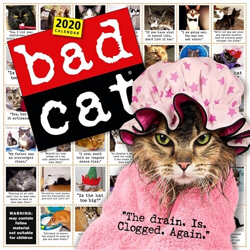 Bad Cat Wall Calendar 2020 (Wall)