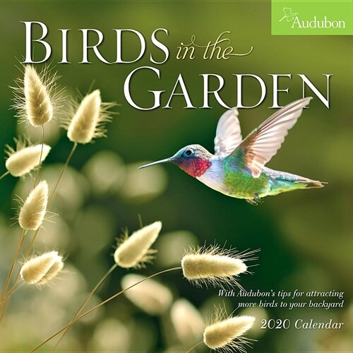 Audubon Birds in the Garden Wall Calendar 2020 (Wall)