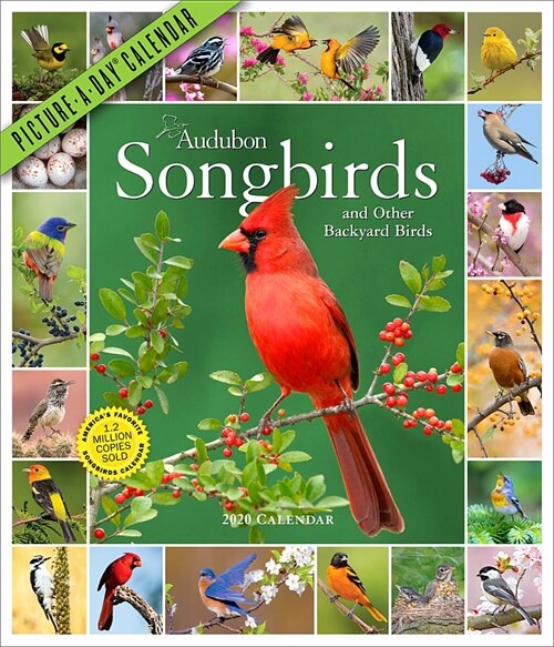 Audubon Songbirds and Other Backyard Birds Picture-A-Day Wall Calendar 2020 (Wall)