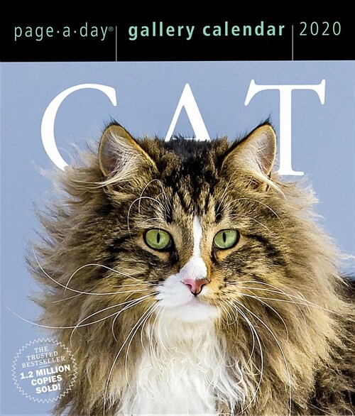 Cat Page-A-Day Gallery Calendar 2020 (Daily)