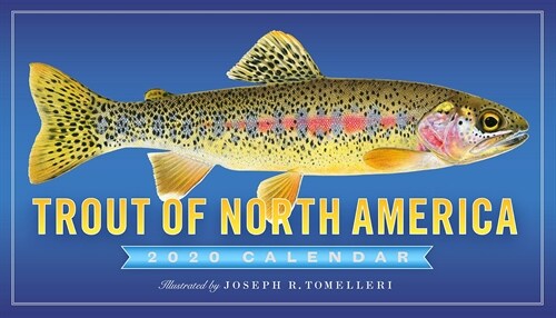 Trout of North America Wall Calendar 2020 (Wall)