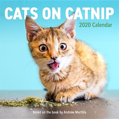Cats on Catnip Wall Calendar 2020 (Wall)