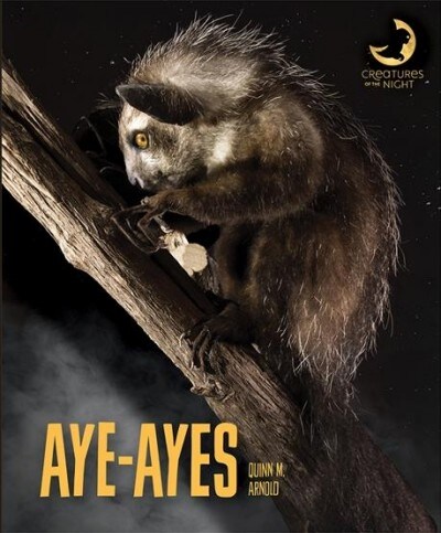 Aye-Ayes (Paperback)