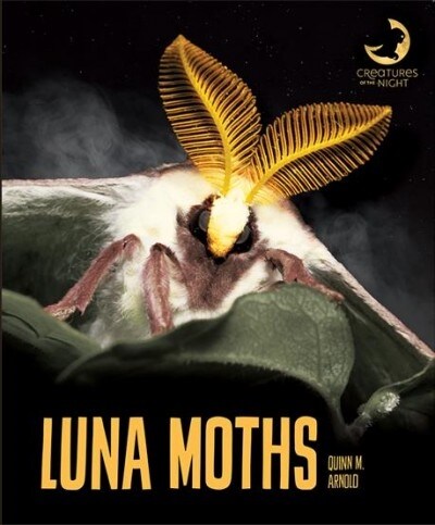 Luna Moths (Paperback)