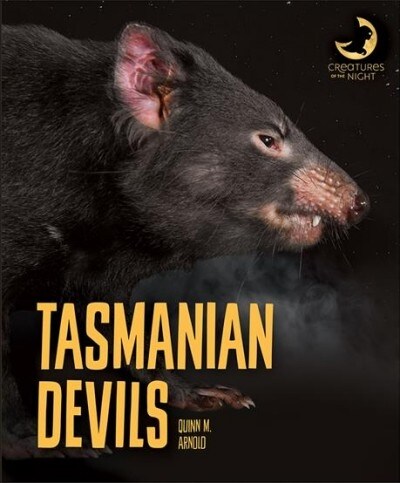 Tasmanian Devils (Paperback)