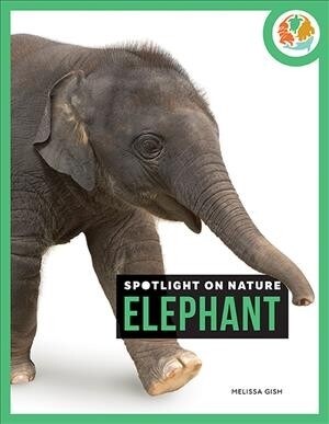 Elephant (Paperback)