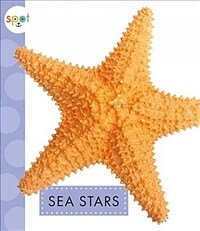 Sea Stars (Paperback)