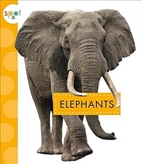 Elephants (Paperback)