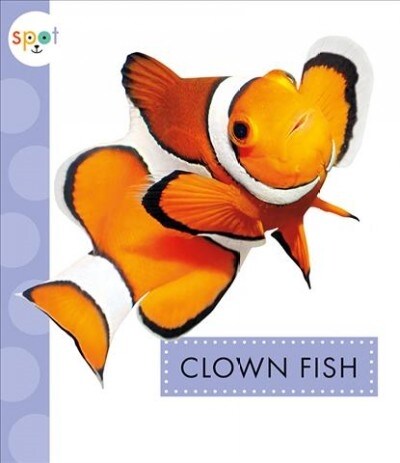 Clown Fish (Paperback)