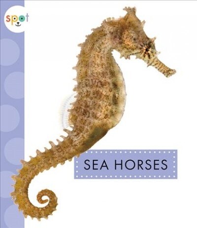 Sea Horses (Paperback)