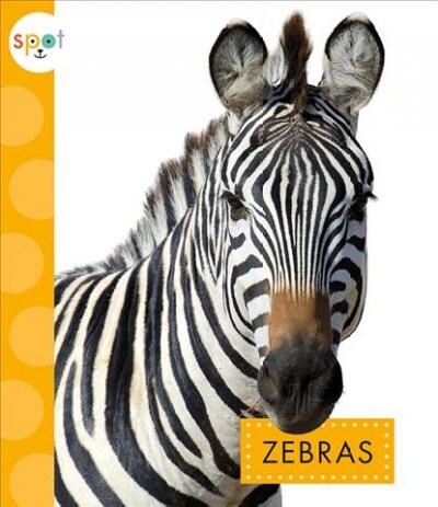 Zebras (Paperback)