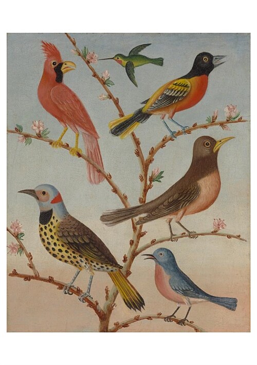Thomas Coke Ruckle: Birds Notecard (Other)